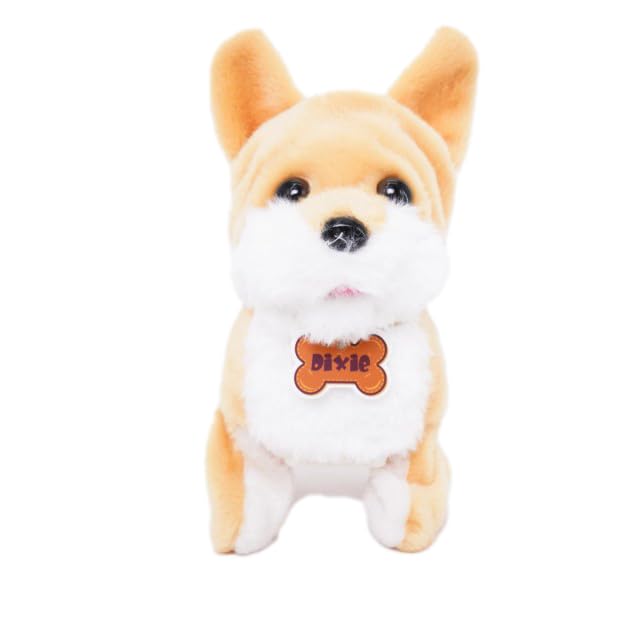 Pugs At Play Flipping Dixie