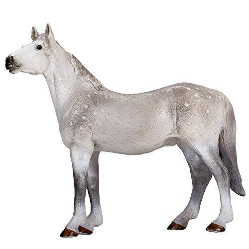 MOJO Orlov Trotter