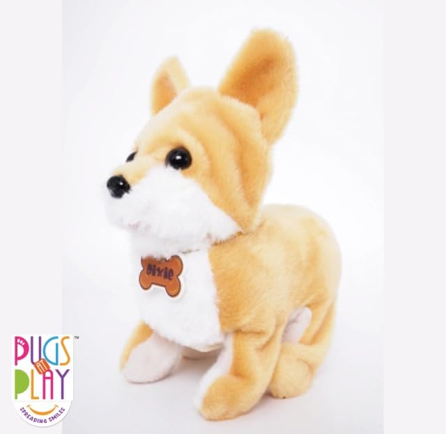 Pugs At Play Flipping Dixie