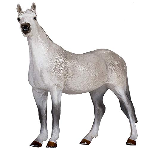 MOJO Orlov Trotter
