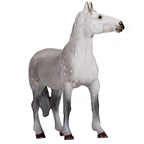 MOJO Orlov Trotter