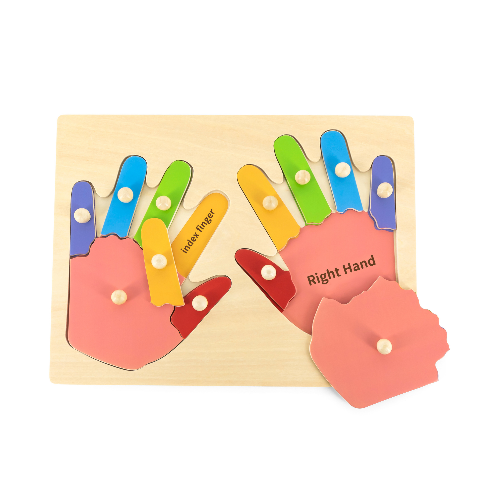 لعبة فيجا هاندز آند فينجرز، أحجية بمقابض من 12 قطعة، لعبة مونتيسوري خشبية، تُنمّي المهارات الحسية والإدراكية والحركية الدقيقة، لعبة تعليمية للأطفال غير سامة وصديقة للبيئة، مناسبة للأطفال من سن 18 شهرًا فما فوق