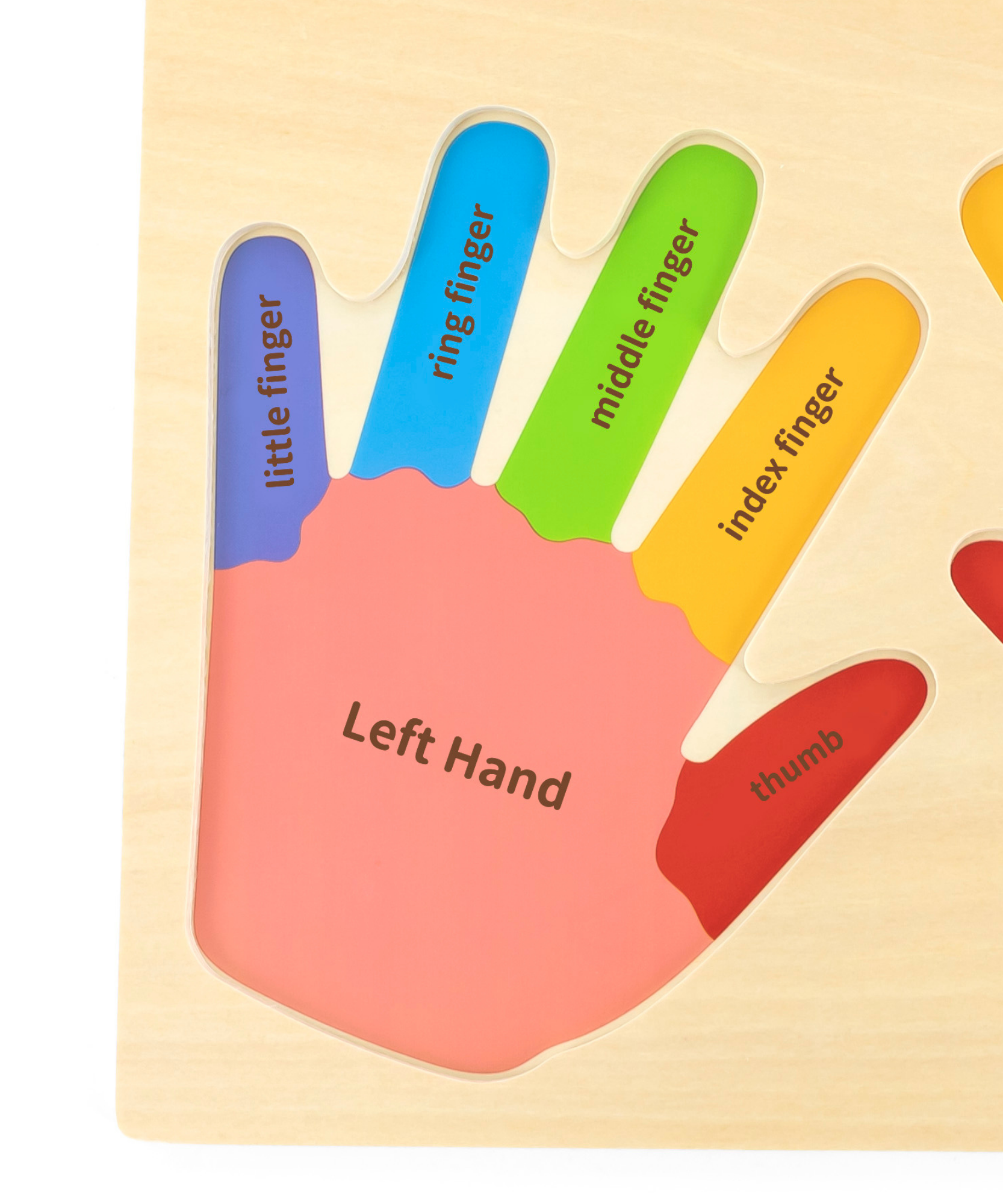 لعبة فيجا هاندز آند فينجرز، أحجية بمقابض من 12 قطعة، لعبة مونتيسوري خشبية، تُنمّي المهارات الحسية والإدراكية والحركية الدقيقة، لعبة تعليمية للأطفال غير سامة وصديقة للبيئة، مناسبة للأطفال من سن 18 شهرًا فما فوق