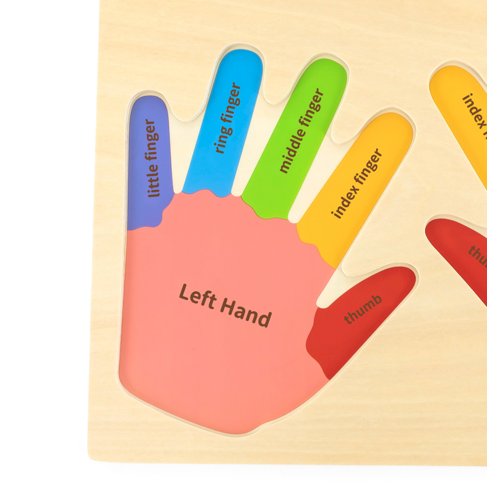 لعبة فيجا هاندز آند فينجرز، أحجية بمقابض من 12 قطعة، لعبة مونتيسوري خشبية، تُنمّي المهارات الحسية والإدراكية والحركية الدقيقة، لعبة تعليمية للأطفال غير سامة وصديقة للبيئة، مناسبة للأطفال من سن 18 شهرًا فما فوق