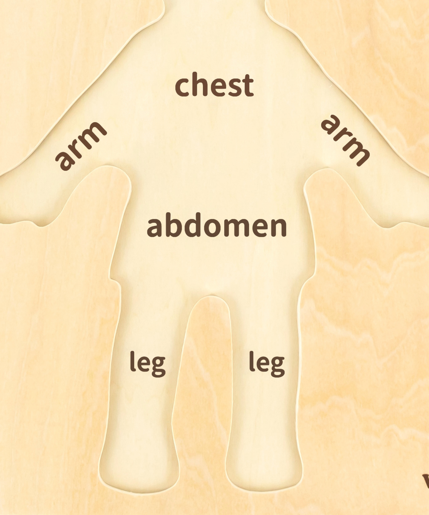 لعبة أحجية فيجا بويز بودي، مكونة من 7 قطع، لعبة مونتيسوري الخشبية، تنمي المهارات الحسية والإدراكية والحركية الدقيقة، لعبة تعليمية للأطفال غير سامة وصديقة للبيئة، مناسبة للأولاد والبنات من سن 18 شهرًا فما فوق