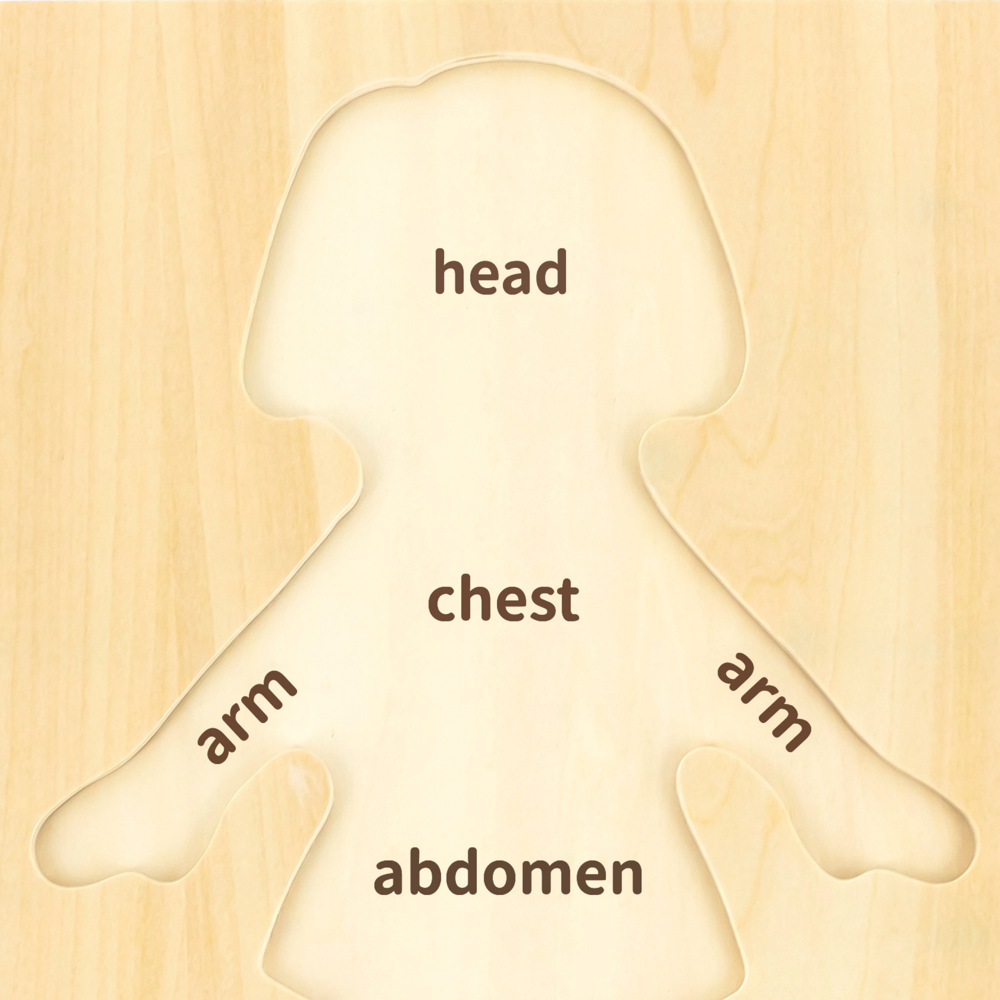 لعبة أحجية مقبض الجسم للبنات من فيجا، مكونة من 7 قطع، لعبة مونتيسوري الخشبية، تنمي المهارات الحسية والإدراكية والحركية الدقيقة، لعبة تعليمية للأطفال غير سامة وصديقة للبيئة، مناسبة للأولاد والبنات من سن 18 شهرًا فما فوق