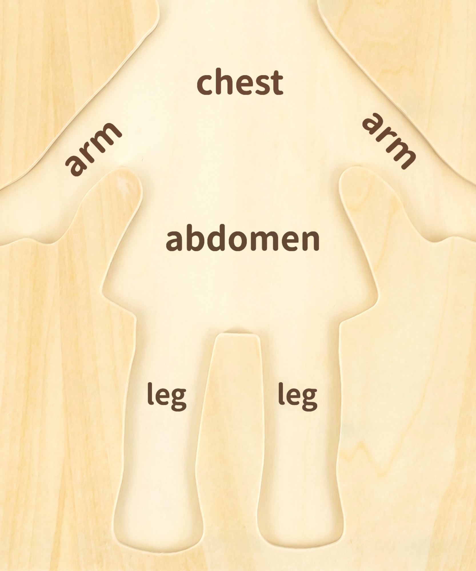 لعبة أحجية مقبض الجسم للبنات من فيجا، مكونة من 7 قطع، لعبة مونتيسوري الخشبية، تنمي المهارات الحسية والإدراكية والحركية الدقيقة، لعبة تعليمية للأطفال غير سامة وصديقة للبيئة، مناسبة للأولاد والبنات من سن 18 شهرًا فما فوق