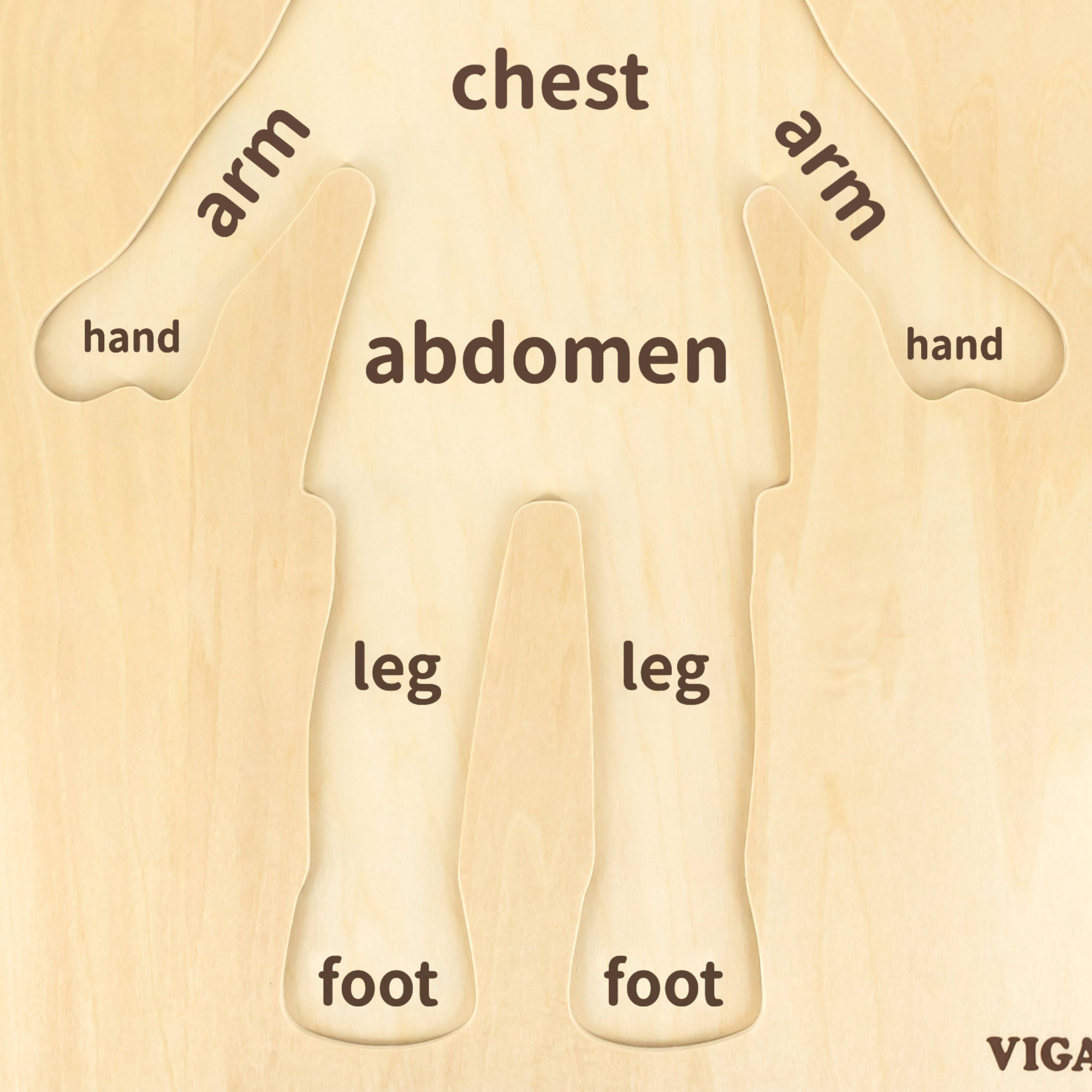 لعبة أحجية فيجا بويز بودي، 12 قطعة، لعبة مونتيسوري الخشبية، تنمي المهارات الحسية والإدراكية والحركية الدقيقة، لعبة تعليمية للأطفال غير سامة وصديقة للبيئة، مناسبة للأولاد والبنات من سن 18 شهرًا فما فوق