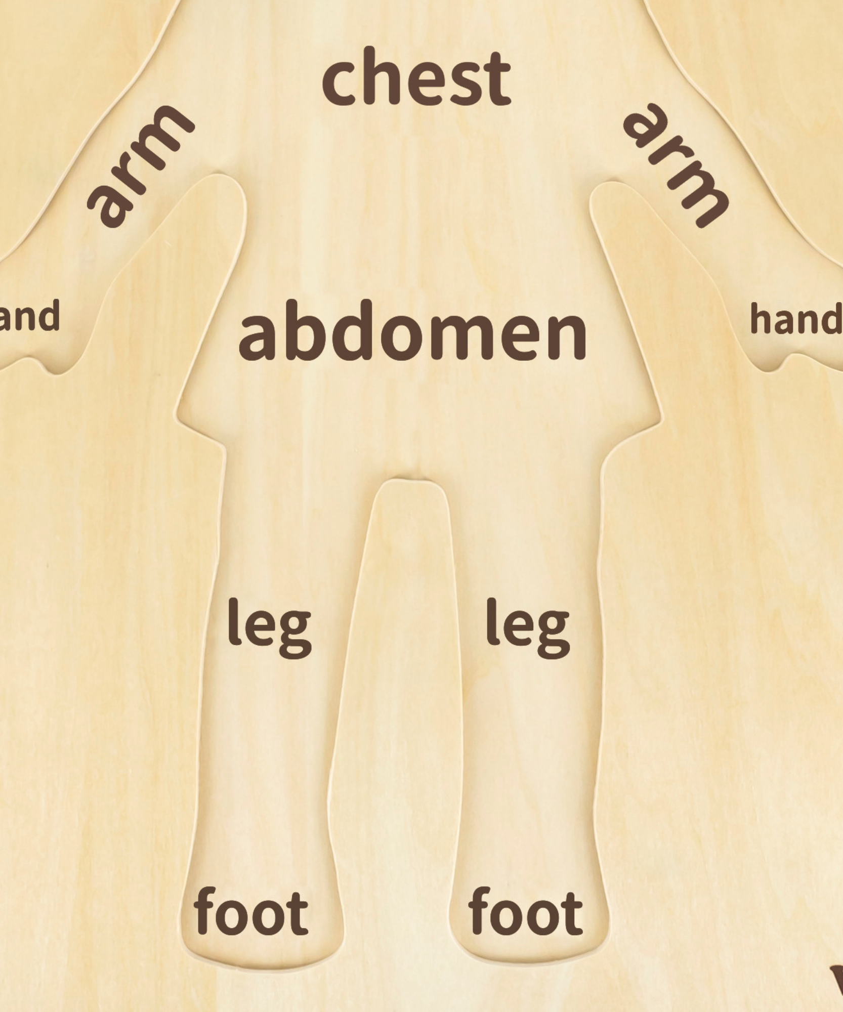 لعبة أحجية مقبض الجسم للبنات من فيجا، مكونة من 12 قطعة، لعبة مونتيسوري الخشبية، تنمي المهارات الحسية والإدراكية والحركية الدقيقة، لعبة تعليمية للأطفال غير سامة وصديقة للبيئة، مناسبة للأولاد والبنات من سن 18 شهرًا فما فوق