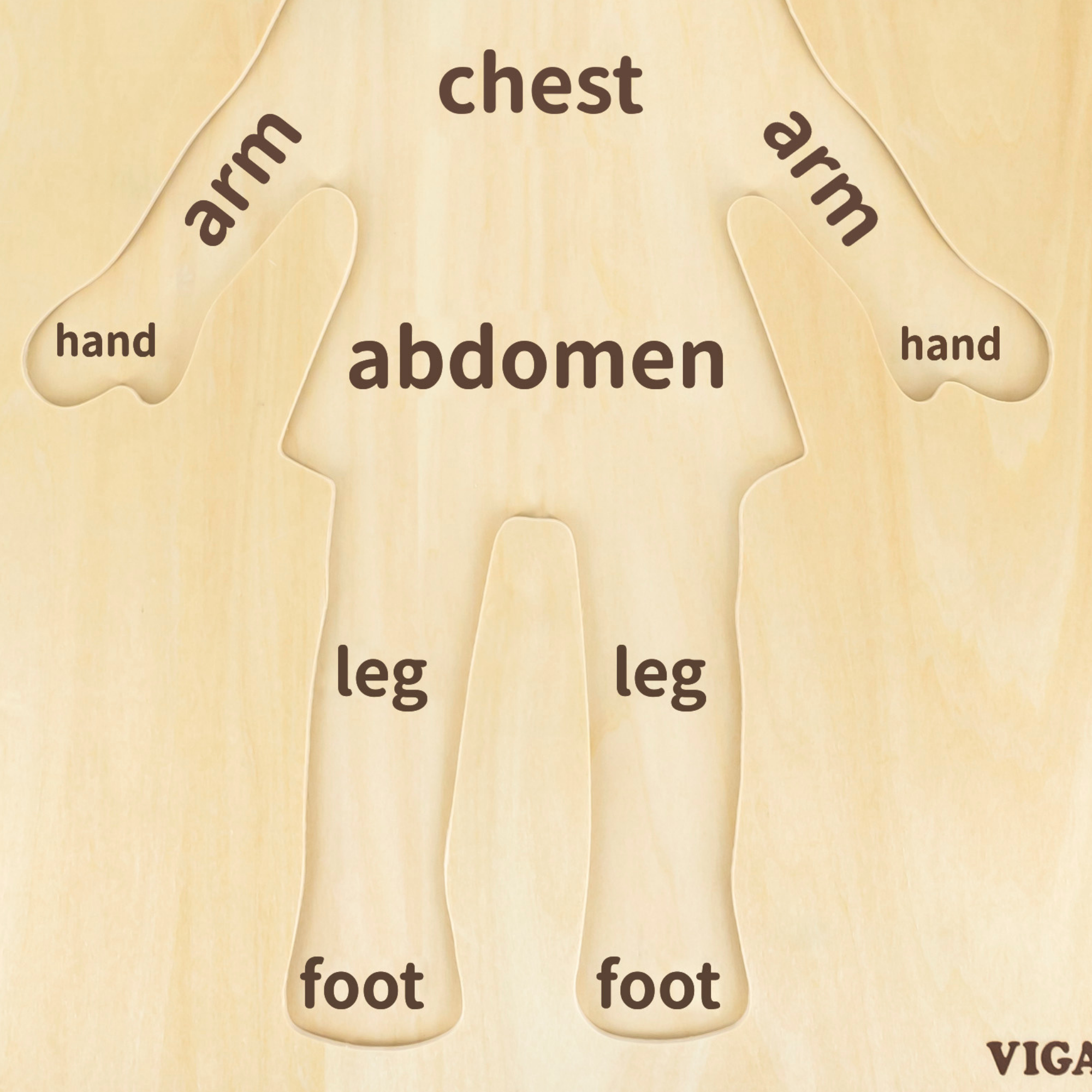 لعبة أحجية مقبض الجسم للبنات من فيجا، مكونة من 12 قطعة، لعبة مونتيسوري الخشبية، تنمي المهارات الحسية والإدراكية والحركية الدقيقة، لعبة تعليمية للأطفال غير سامة وصديقة للبيئة، مناسبة للأولاد والبنات من سن 18 شهرًا فما فوق