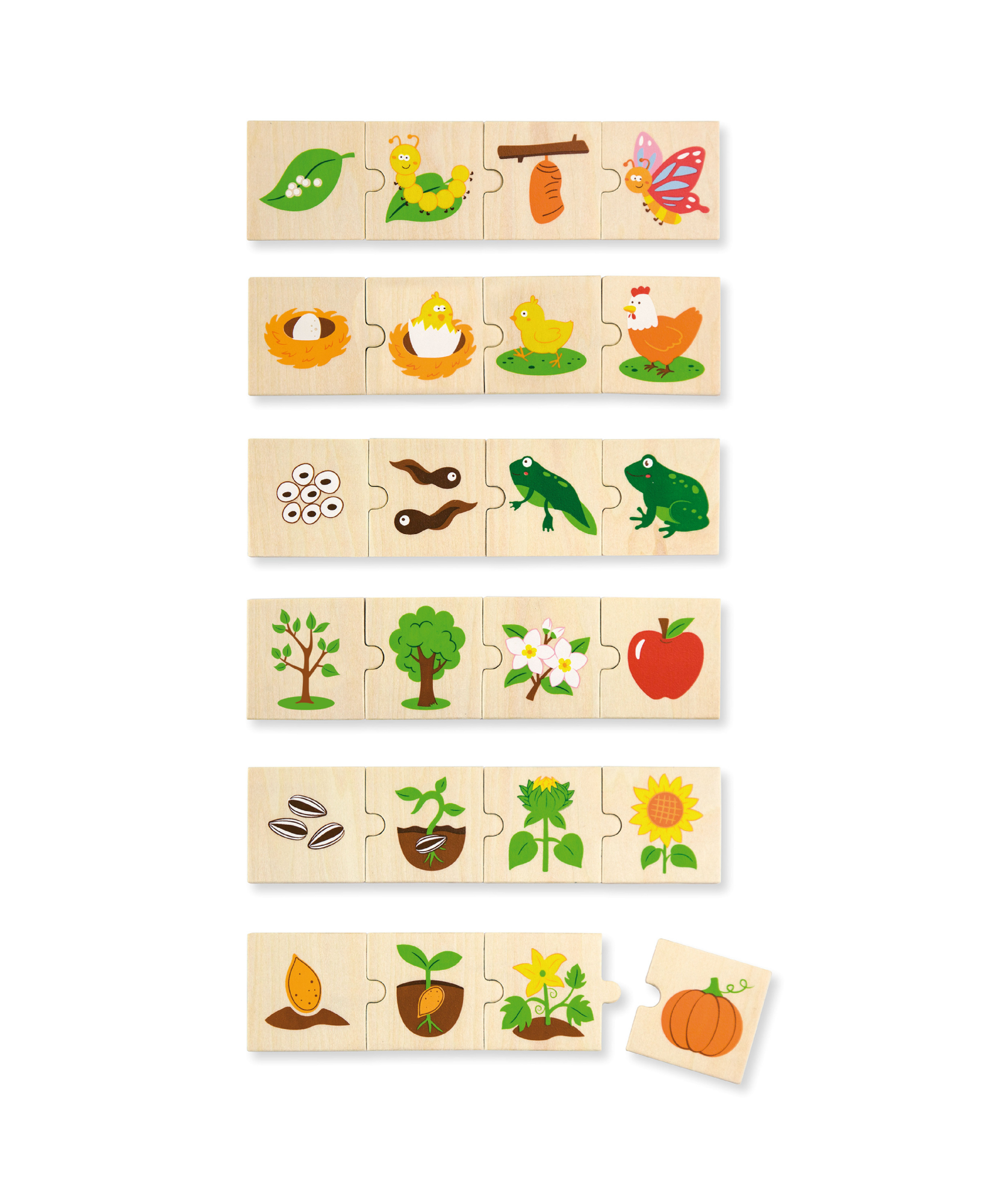 لعبة فيجا لتنمية النباتات والحيوانات، 24 قطعة، لعبة مونتيسوري خشبية، تُنمّي المهارات الحسية والإدراكية والحركية الدقيقة، غير سامة وصديقة للبيئة، مناسبة للأطفال من عمر 18 شهرًا فما فوق