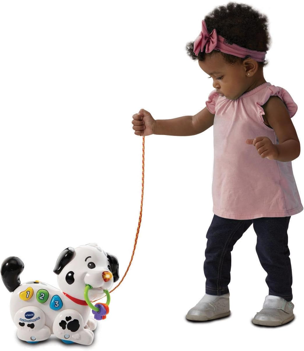 Vtech Pull Along Puppy Pal, Multi-Colour, 80-502803