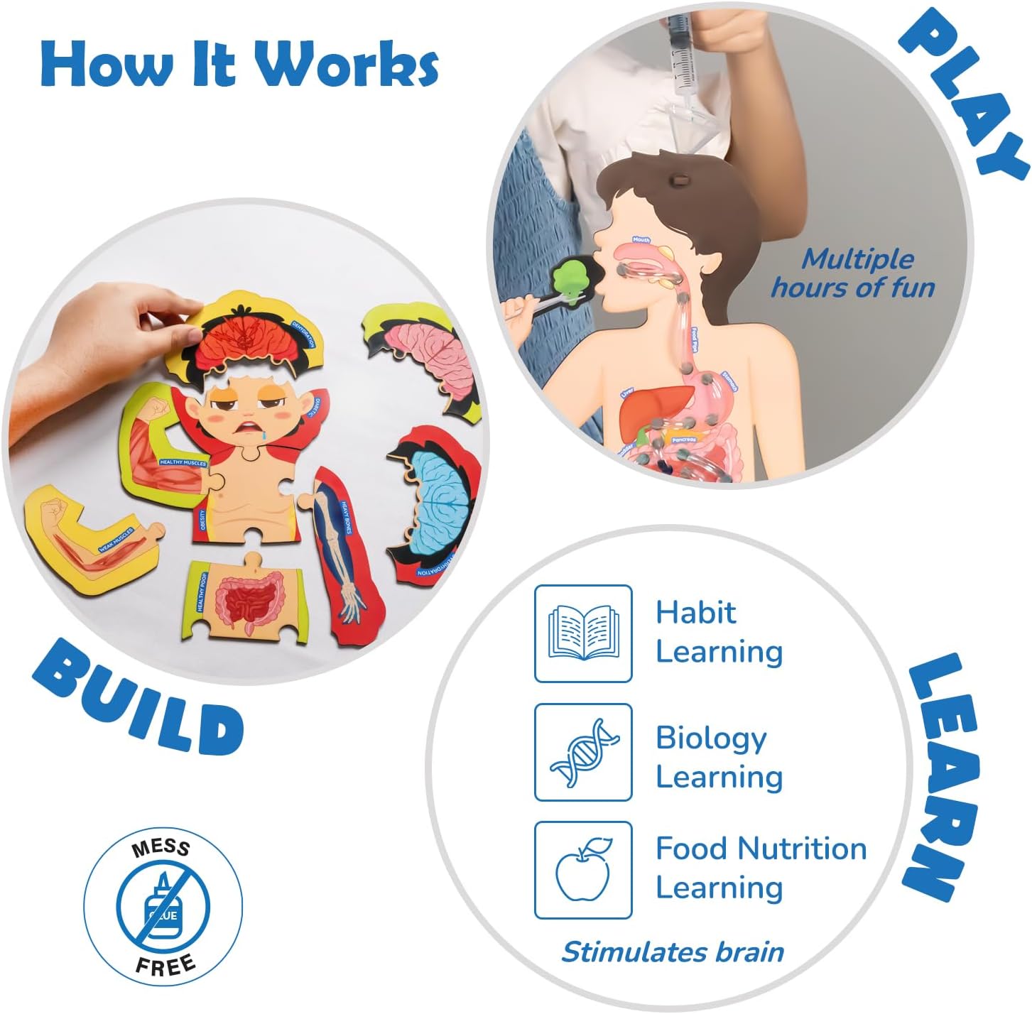 Smartivity Human Body Toy for Kids 6-12 Years|Body Organs & Functions|Birthday Gifts for Unisex|DIY Science Toys 6,7,8,9,10,11,12,13,14 Years Old I STEM Building Set Wooden Construction Game,79 Pcs