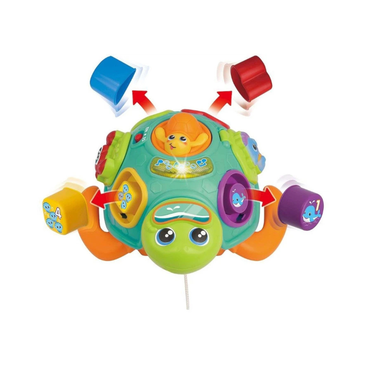 Winfun Tadzio Turtle Interactive Toy, Shape Sorter, Pull-Along Educational Toy for Toddlers, Light and Music, Ages 6 Months+