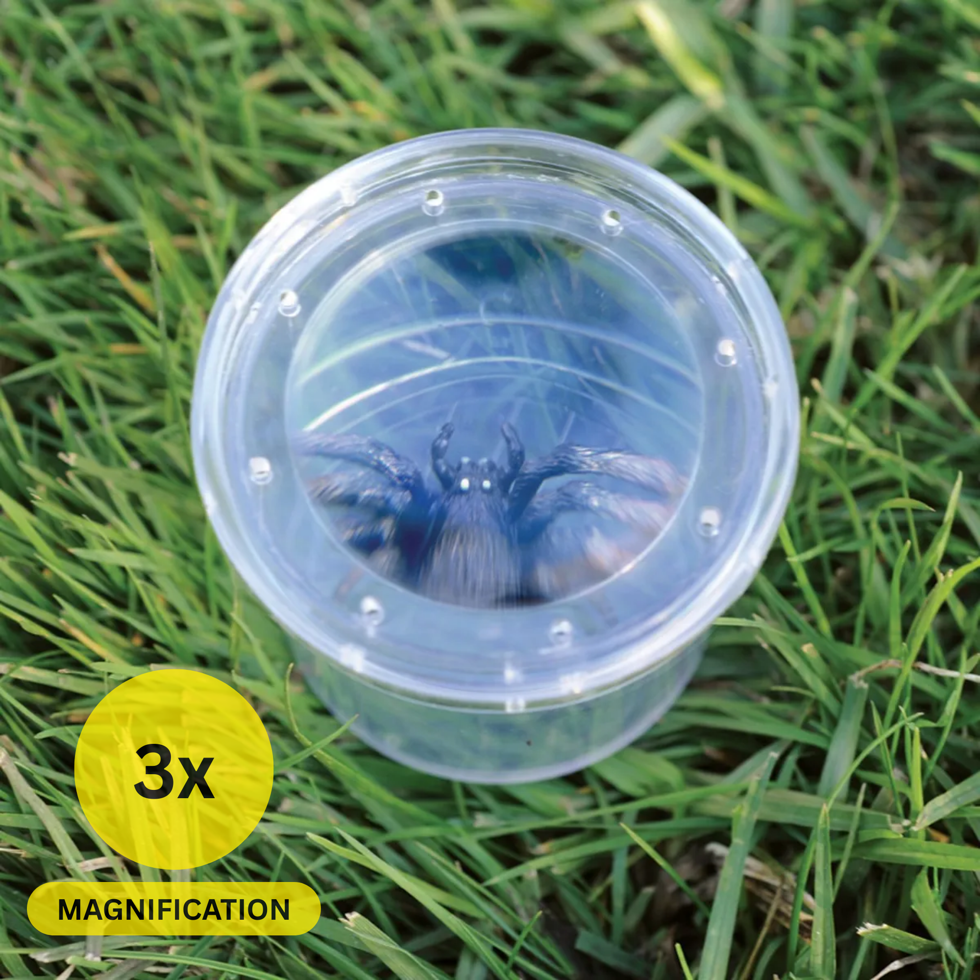 موارد التعلم GeoSafari Jr. Bug Viewer، وعاء مكبر للأطفال، تكبير 3 أضعاف، فتحات هوائية للعرض المباشر، قاعدة قياس شبكية، مثالي للاستكشاف في الهواء الطلق، للأعمار من 3 سنوات فما فوق