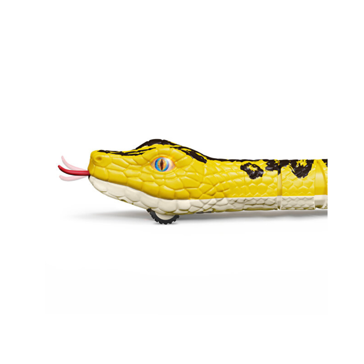 RC Snake - Yellow Anaconda