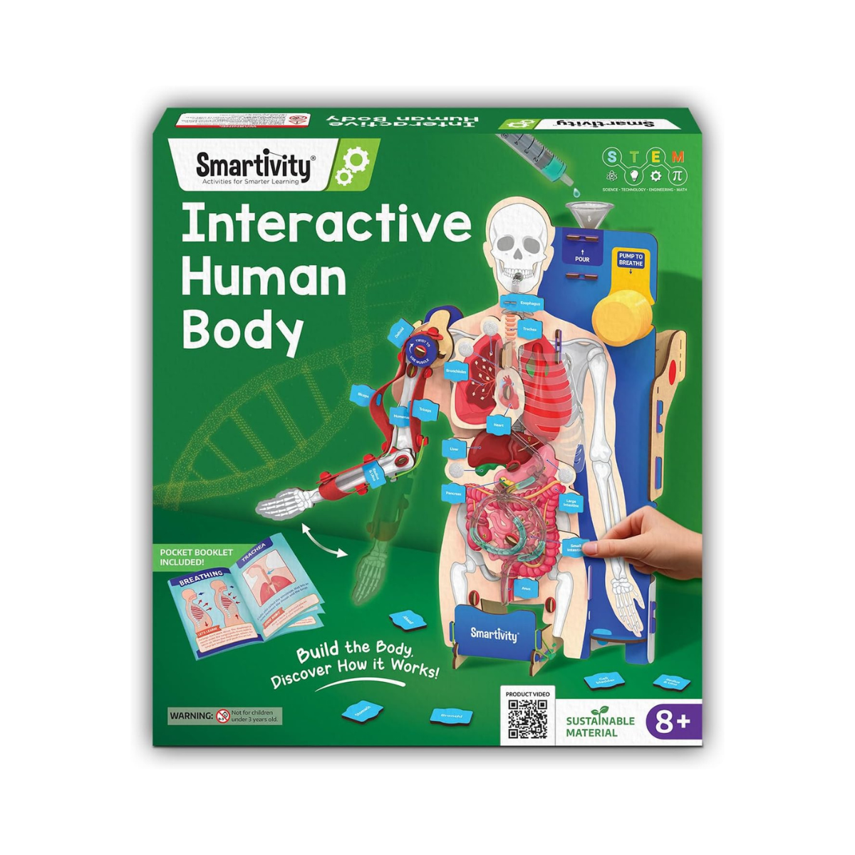 Smartivity Interactive Human Body Model for Kids 8-14 Years I Dynamic Body Parts & Organs + Learning Booklet | Birthday Gift for Boys & Girls | Educational Toy for 8,9,10,11,12,13,14 Years