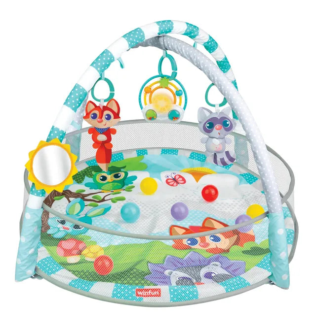 Winfun Play Gym & Ball Pit | Soft Baby Activity Mat with Detachable Arch, Hanging Toys & Play Balls | Multi-Stage Infant Activity Center with Tummy Time & Ball Pit Play | Developmental Toy for Ages 0+