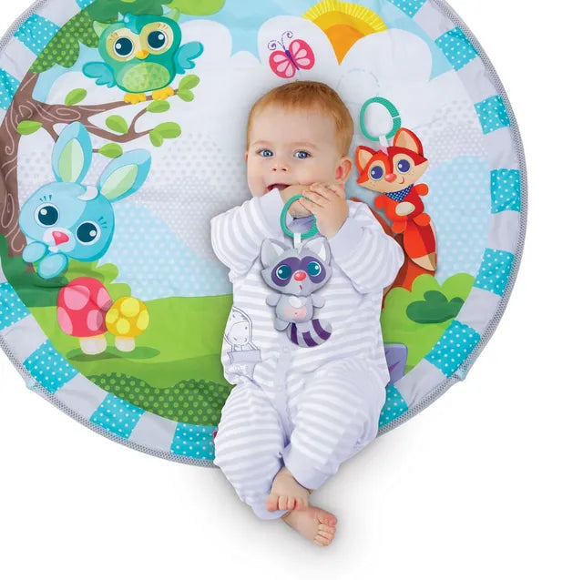 Winfun Play Gym & Ball Pit | Soft Baby Activity Mat with Detachable Arch, Hanging Toys & Play Balls | Multi-Stage Infant Activity Center with Tummy Time & Ball Pit Play | Developmental Toy for Ages 0+