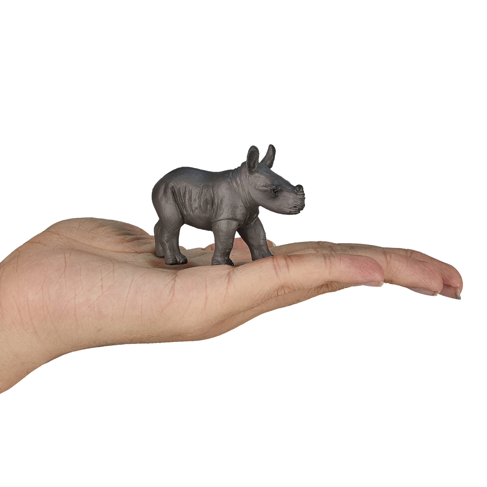 Mojo Rhino Baby Walking Small Animal Figure Toy, Realistic Safari Collectible for Children