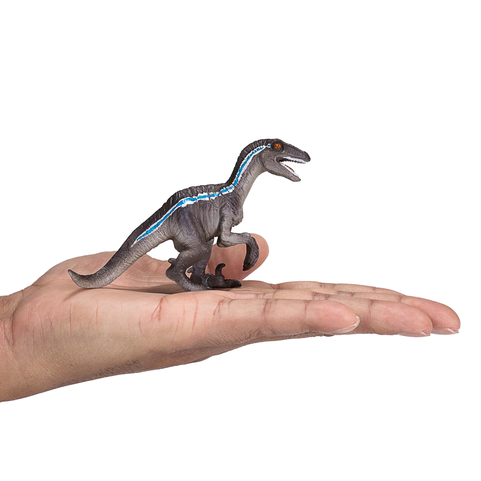 Mojo Velociraptor Crouching Medium Animal Figure Toy, Realistic Dinosaur Collectible for Kids