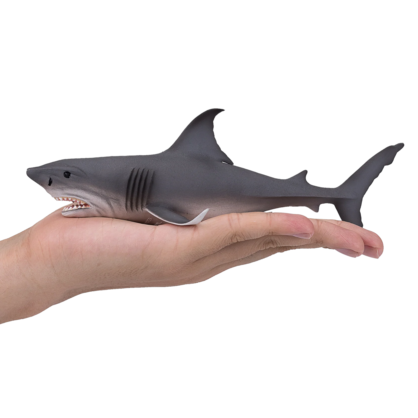 Mojo White Shark Deluxe I Animal Figure Toy, Realistic Ocean Predator Collectible for Kids