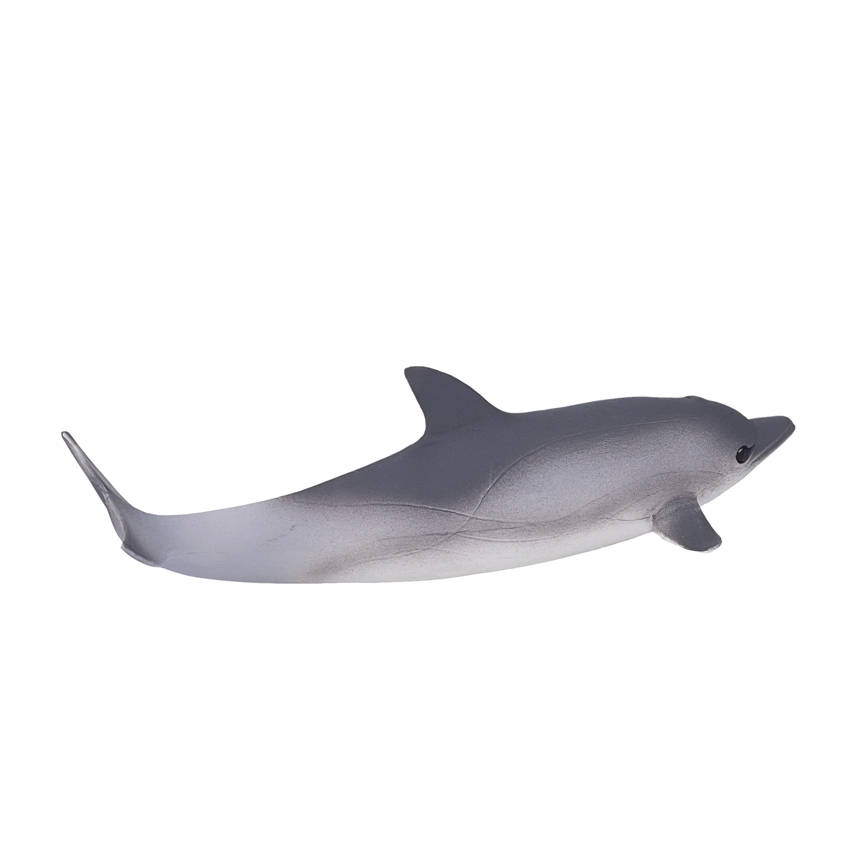Mojo Common Dolphin Large Animal Figure Toy, Realistic Sea Life Collectible for Kids