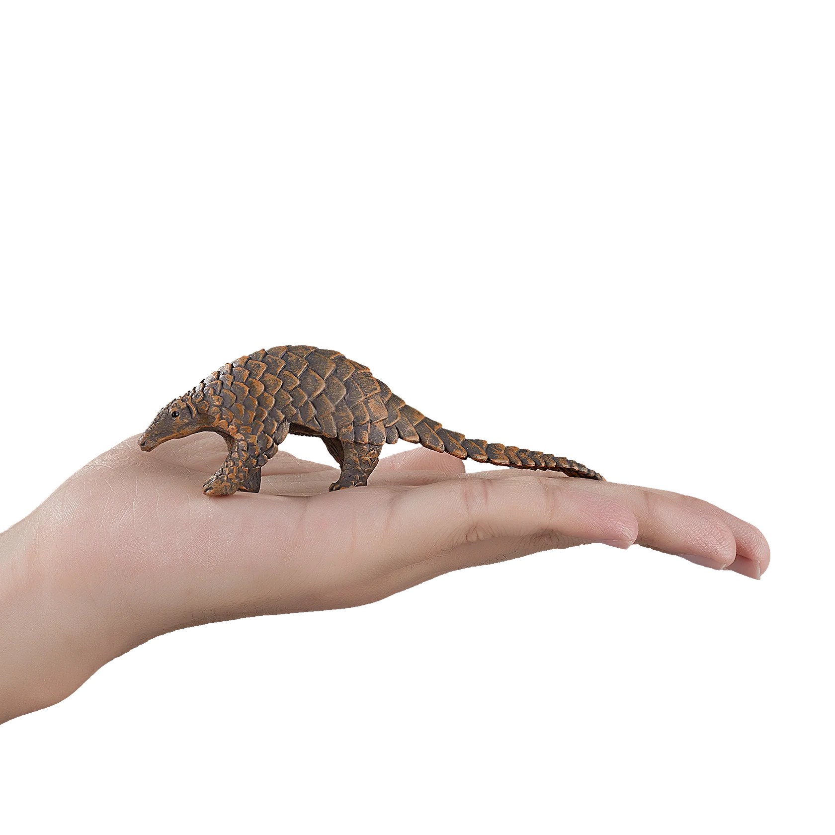 Mojo Indian Pangolin Medium Animal Figure Toy, Unique Wildlife Collectible for Kids