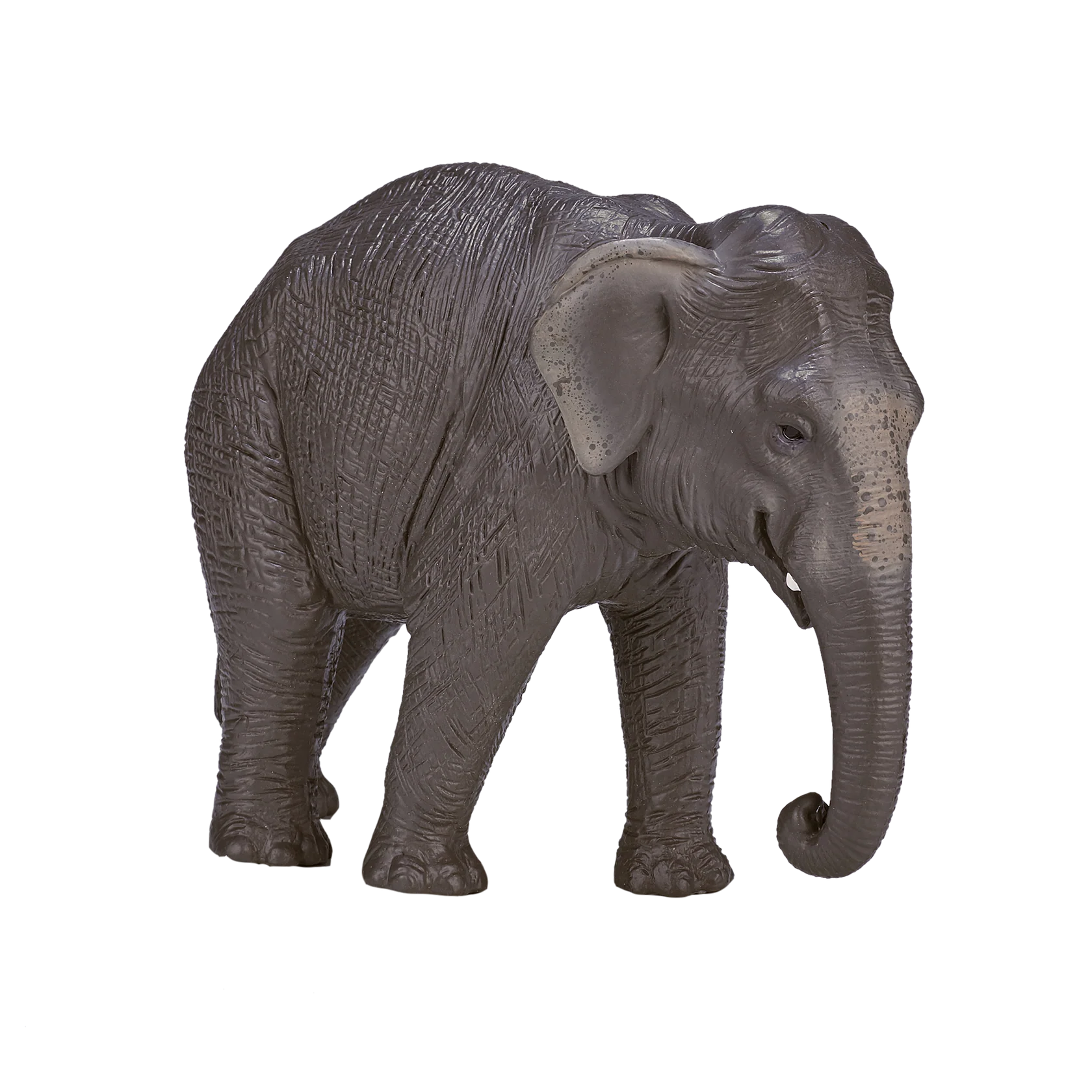 Mojo Asian Elephant XL Animal Figure Toy, Realistic Safari Wildlife Collectible for Kids