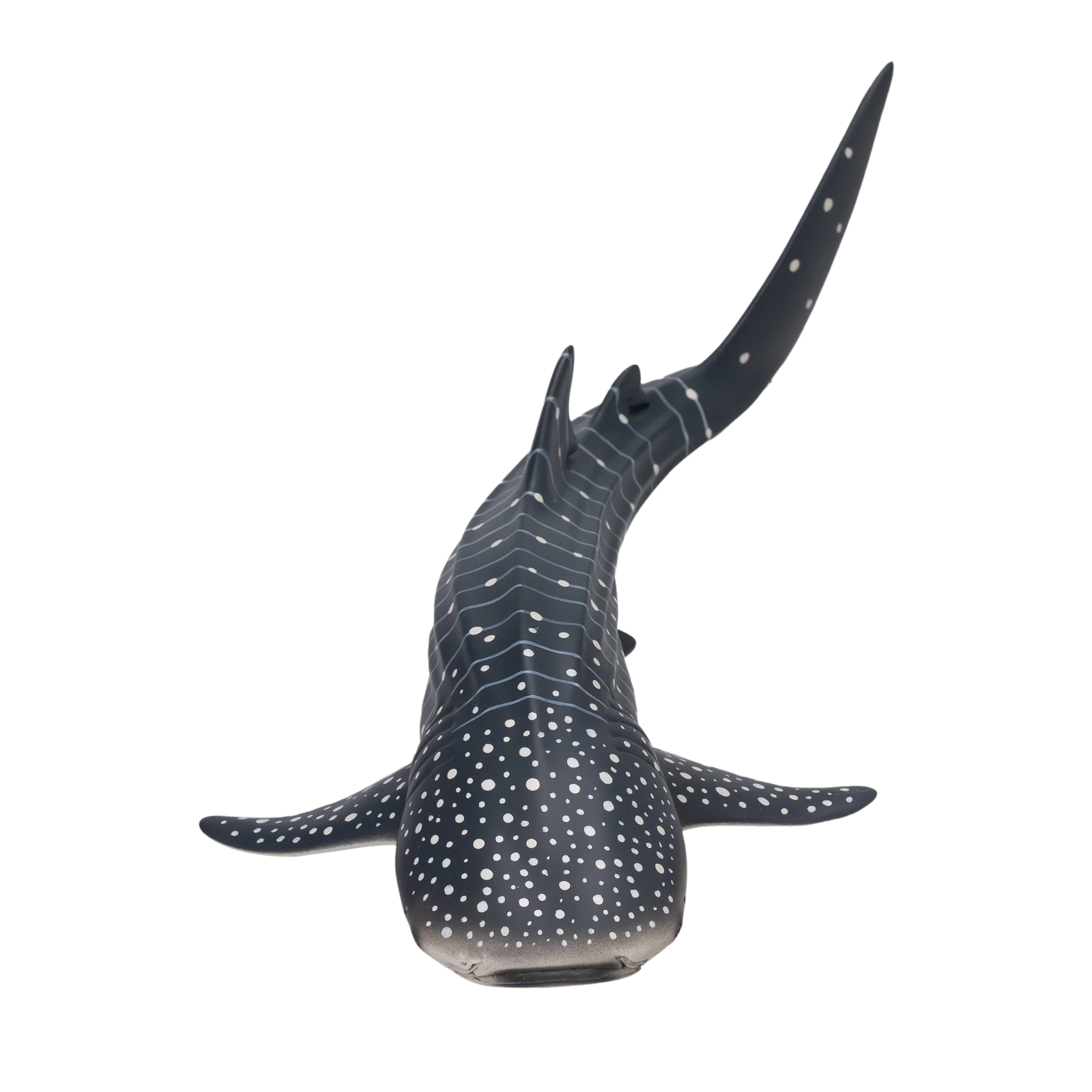 Mojo Whale Shark Deluxe I Animal Figure Toy, Realistic Ocean Wildlife Collectible for Kids