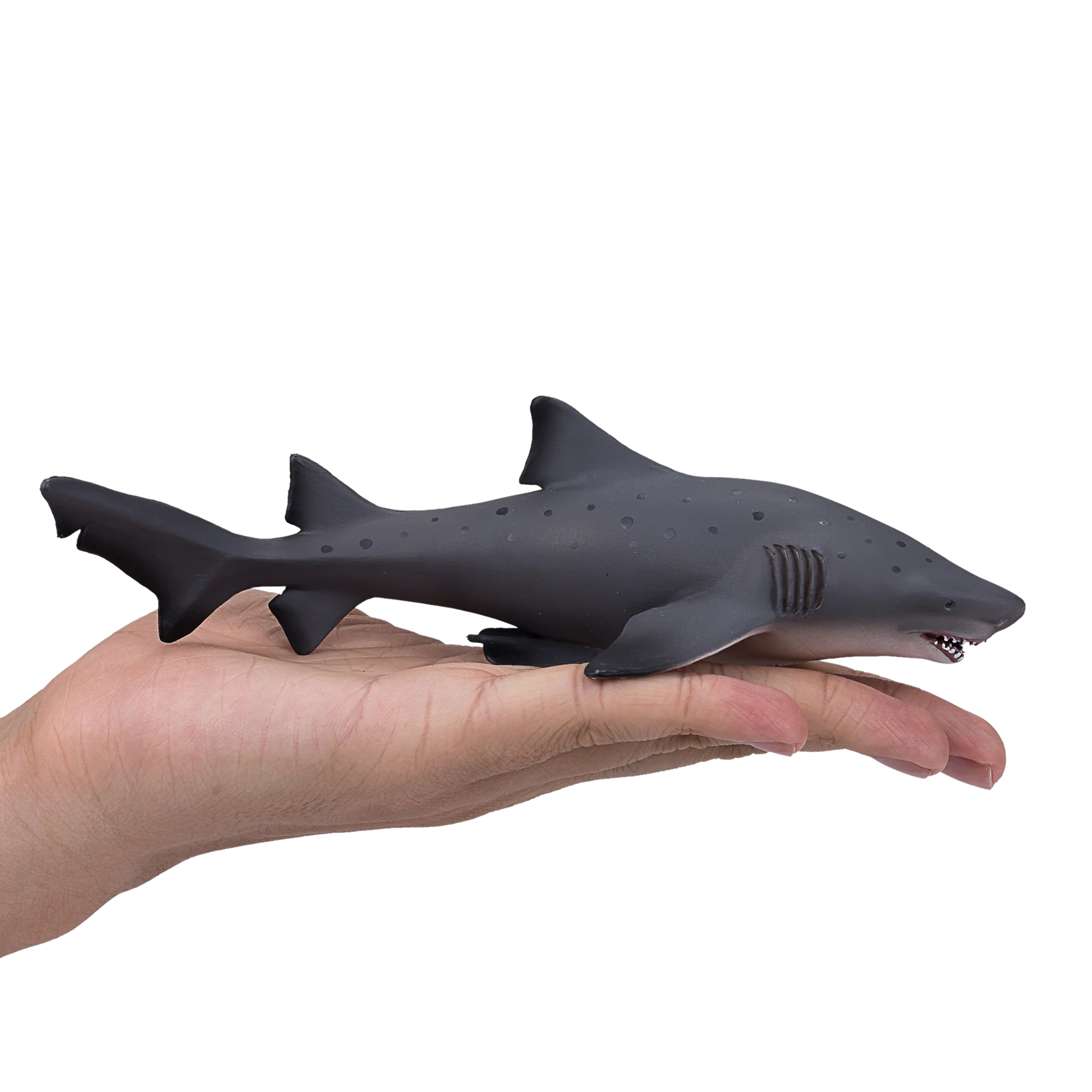 Sand Tiger Shark XXL Animal Figure Toy, Realistic Ocean Predator Collectible for Kids