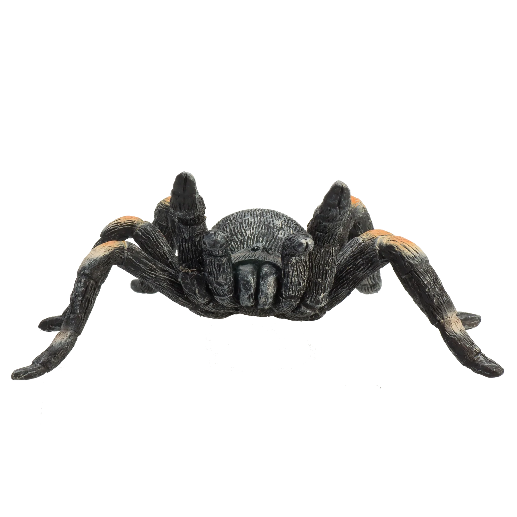 Mojo Red Kneed Tarantula Medium Animal Figure Toy, Realistic Insect Collectible for Kids