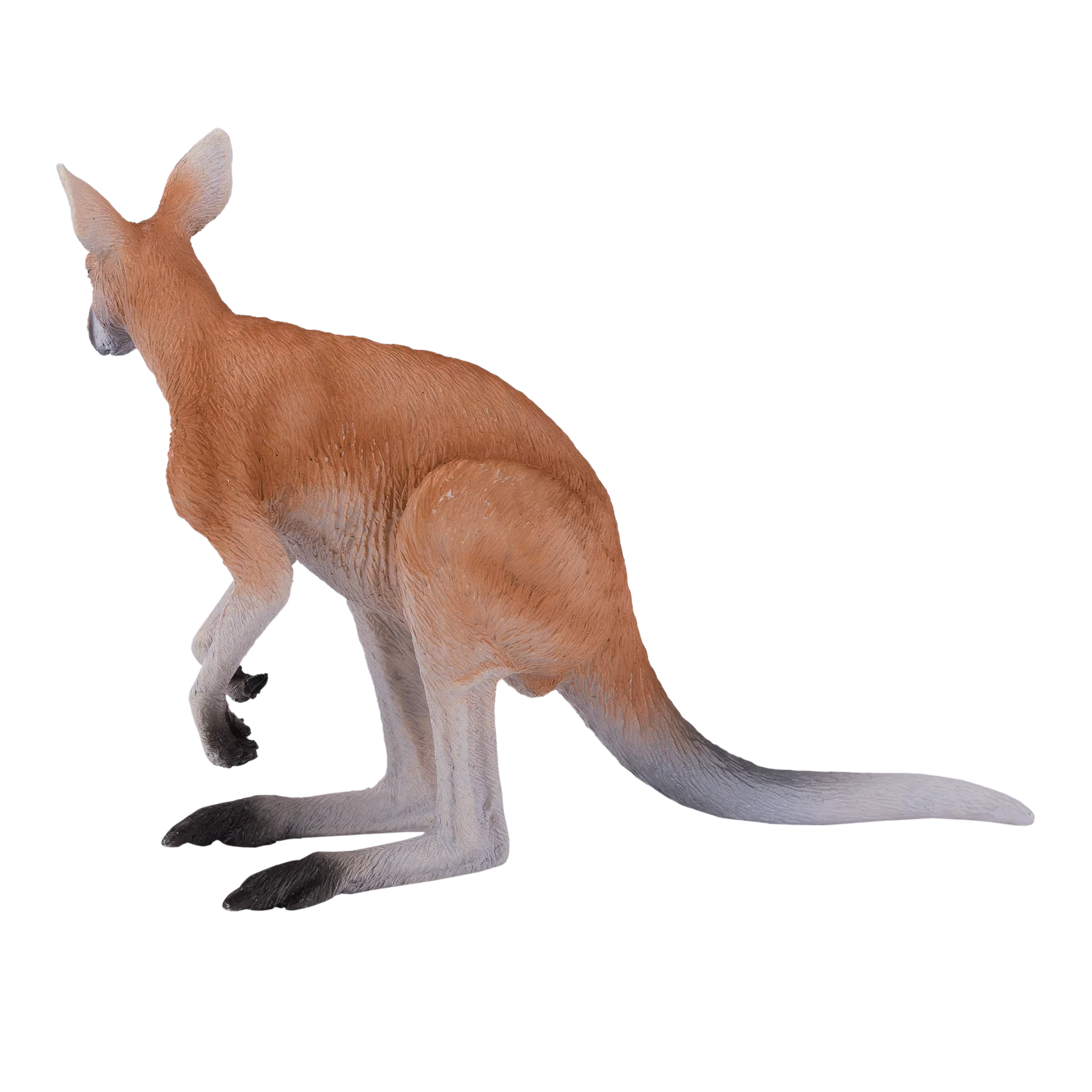Mojo Kangaroo Large Animal Figure Toy, Realistic Australian Wildlife Collectible for Kids