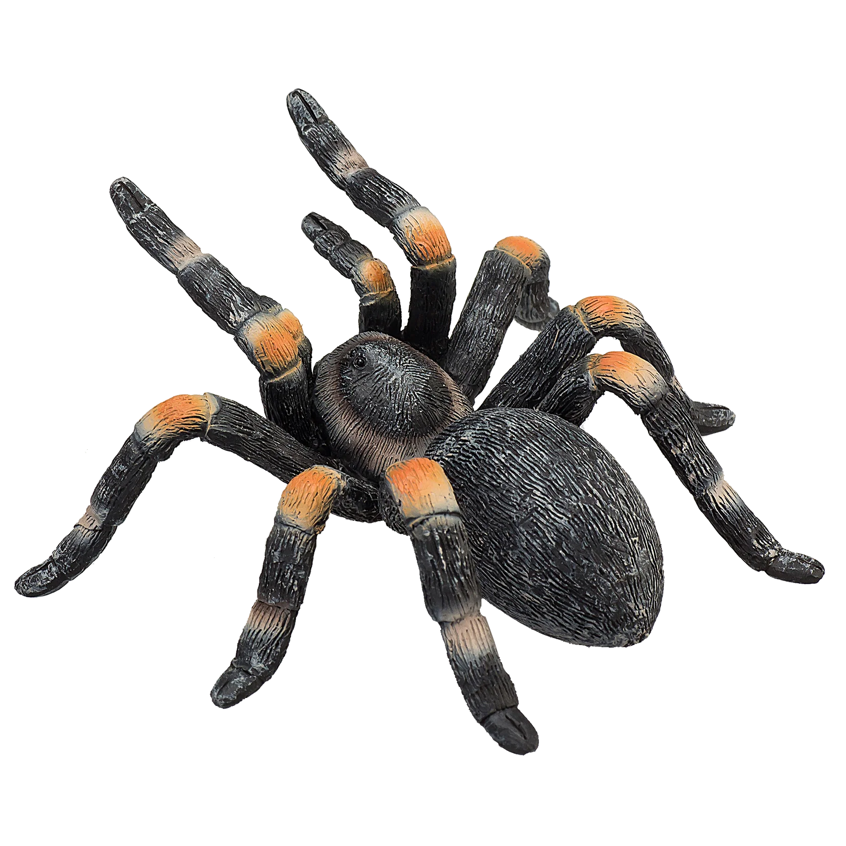 Mojo Red Kneed Tarantula Medium Animal Figure Toy, Realistic Insect Collectible for Kids