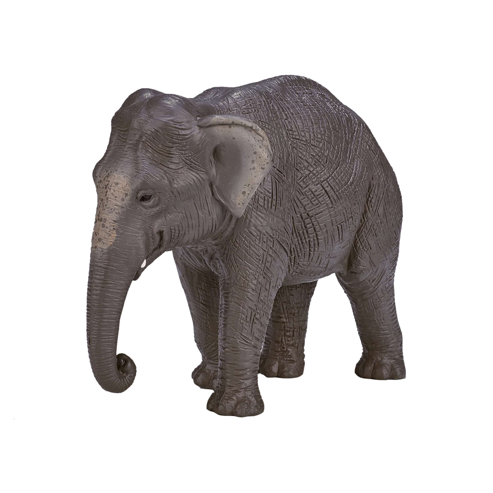 Mojo Asian Elephant XL Animal Figure Toy, Realistic Safari Wildlife Collectible for Kids