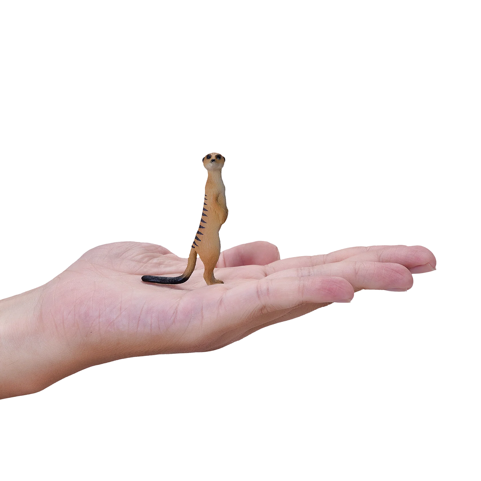 Mojo Meerkat Small Animal Figure Toy, Realistic Desert Wildlife Collectible for Kids