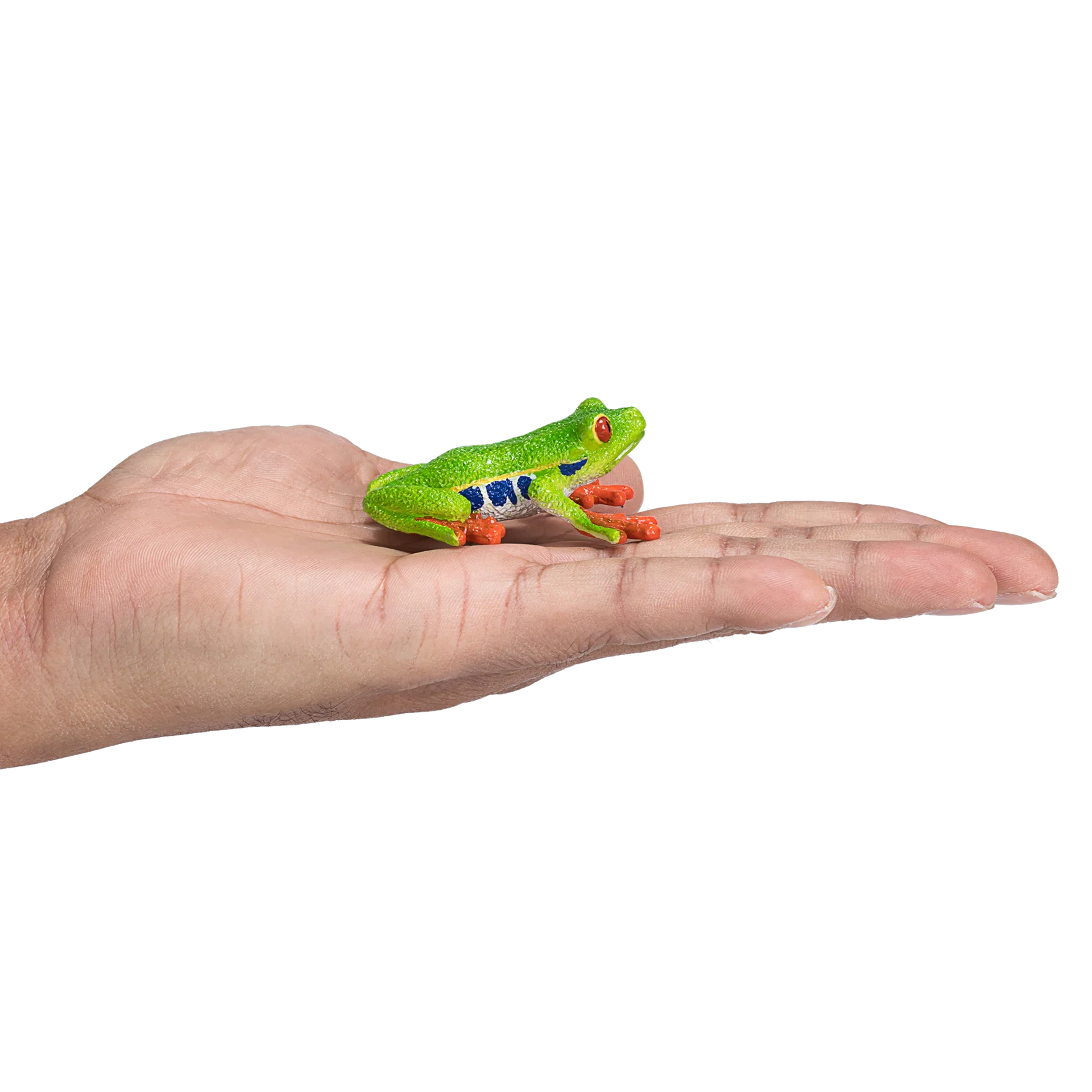 Mojo Red Eyed Tree Frog Medium Animal Figure Toy, Realistic Amphibian Collectible for Kids