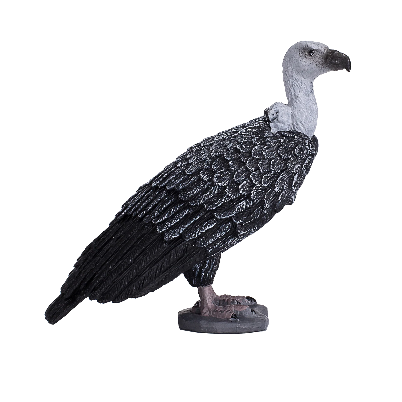Mojo Griffon Vulture Large Animal Figure Toy, Realistic Bird Collectible for Kids