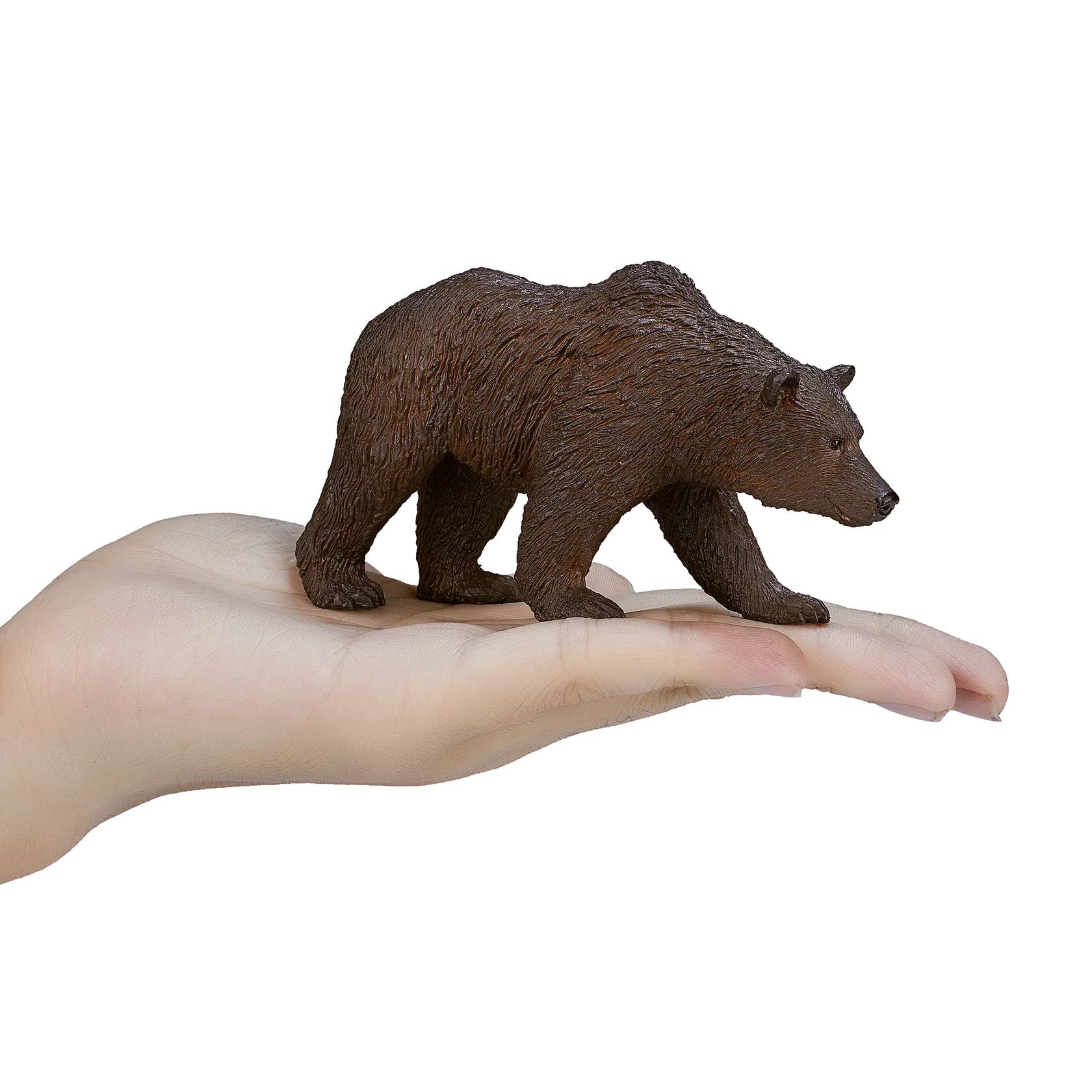 Mojo Grizzly Bear Large Animal Figure Toy, Realistic Forest Wildlife Collectible for Kids