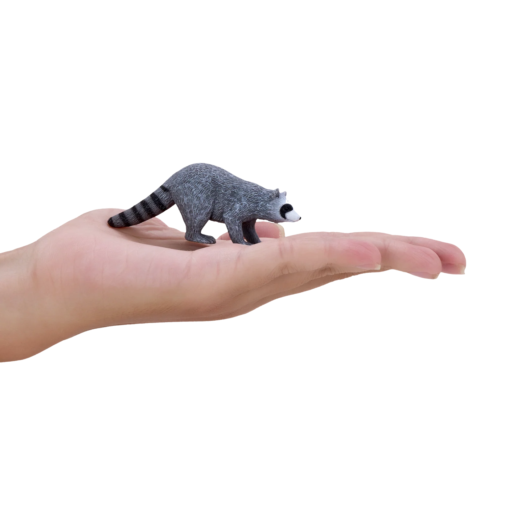 Mojo Raccoon Medium Animal Figure Toy, Realistic Forest Wildlife Collectible for Kids