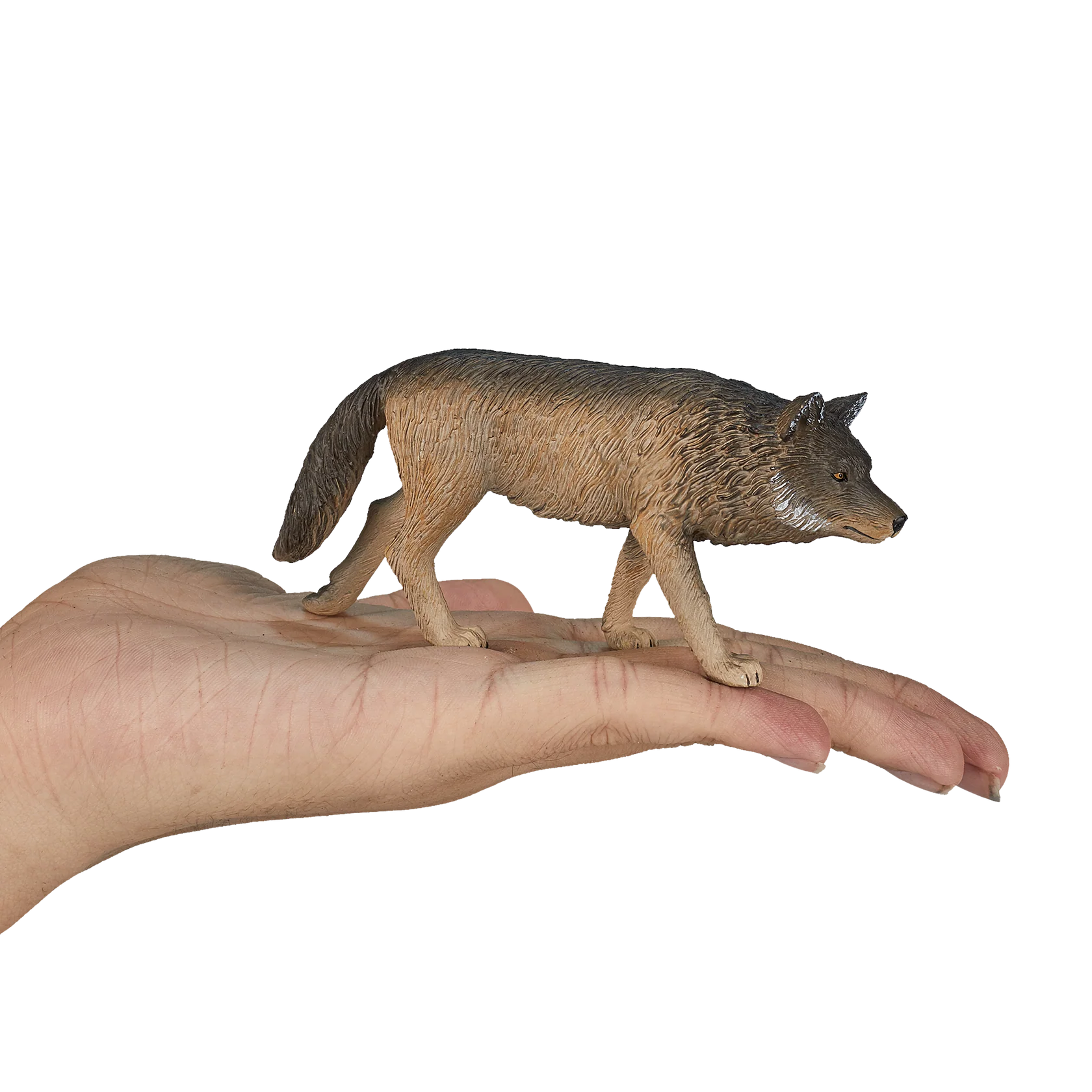 Mojo Timber Wolf Walking Medium Animal Figure Toy, Realistic Forest Wildlife Collectible for Kids
