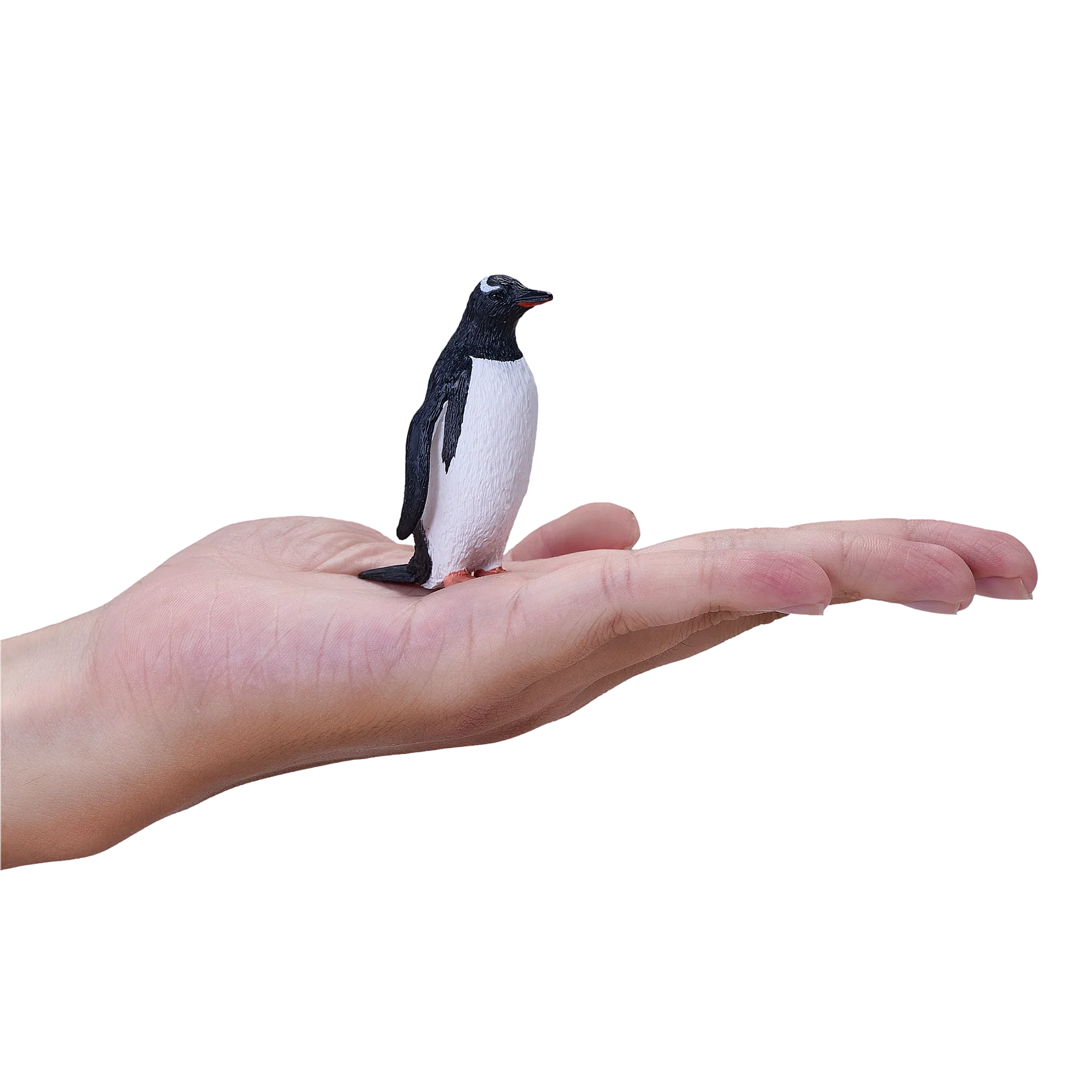 Mojo Gentoo Penguin Medium Animal Figure Toy, Realistic Antarctic Wildlife Collectible for Kids