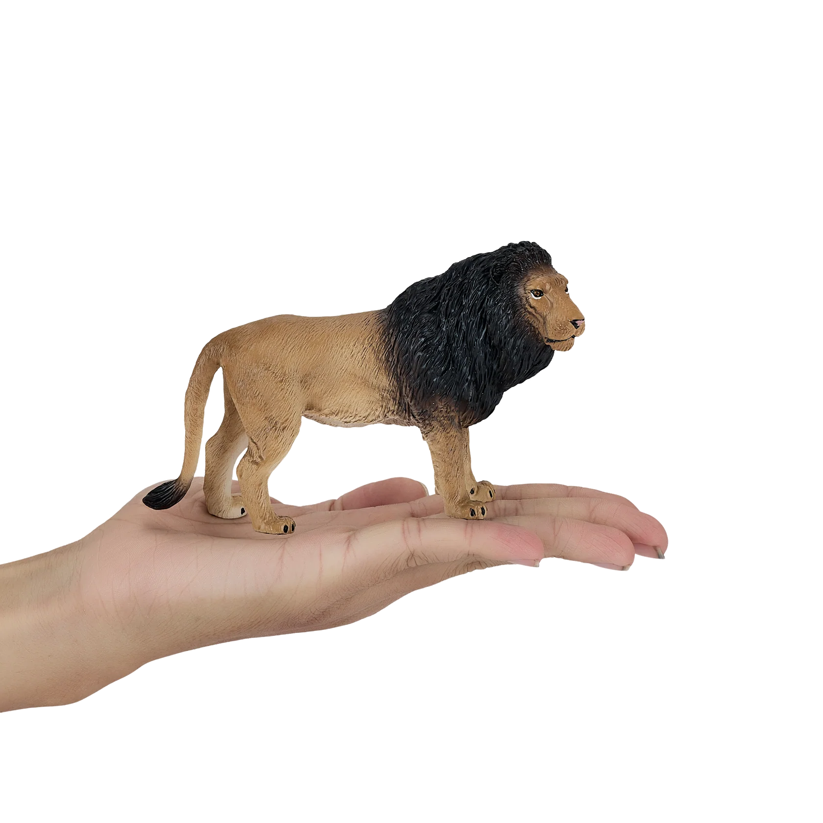 Mojo African Lion Large Animal Figure Toy, Realistic Safari Collectible for Kids