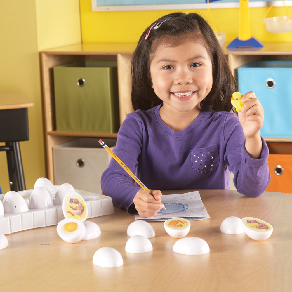 مجموعة استكشاف دورة حياة الكتكوت من Learning Resources، لعبة تعليمية عملية للتطوير لمدة 21 يومًا، مورد تعليمي STEM، للأعمار من 5 سنوات فما فوق