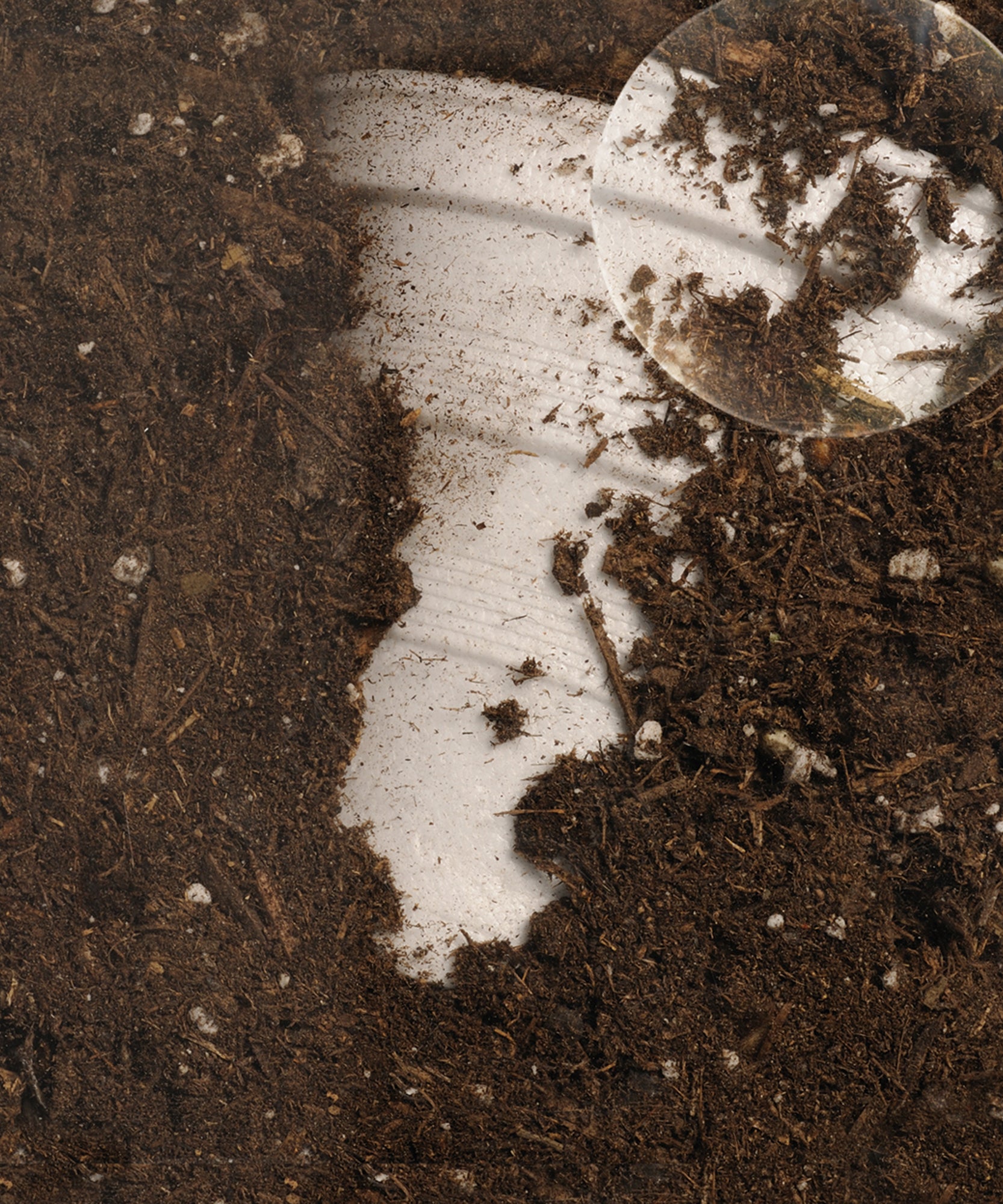 مصادر التعلم: حاوية السماد العضوي، مجموعة تعليمية تفاعلية للتحلل، مورد تعليمي في مجالات العلوم والتكنولوجيا والهندسة والرياضيات، للأعمار من 4 سنوات فما فوق