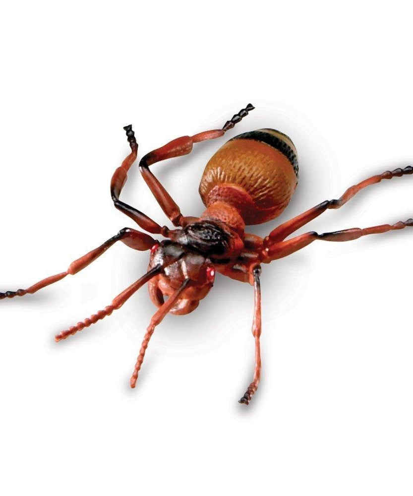 مجموعة ألعاب الحشرات العملاقة من Learning Resources، مكونة من 7 قطع من شخصيات الحشرات الواقعية للأطفال للعب الخيالي والتعلم المبكر