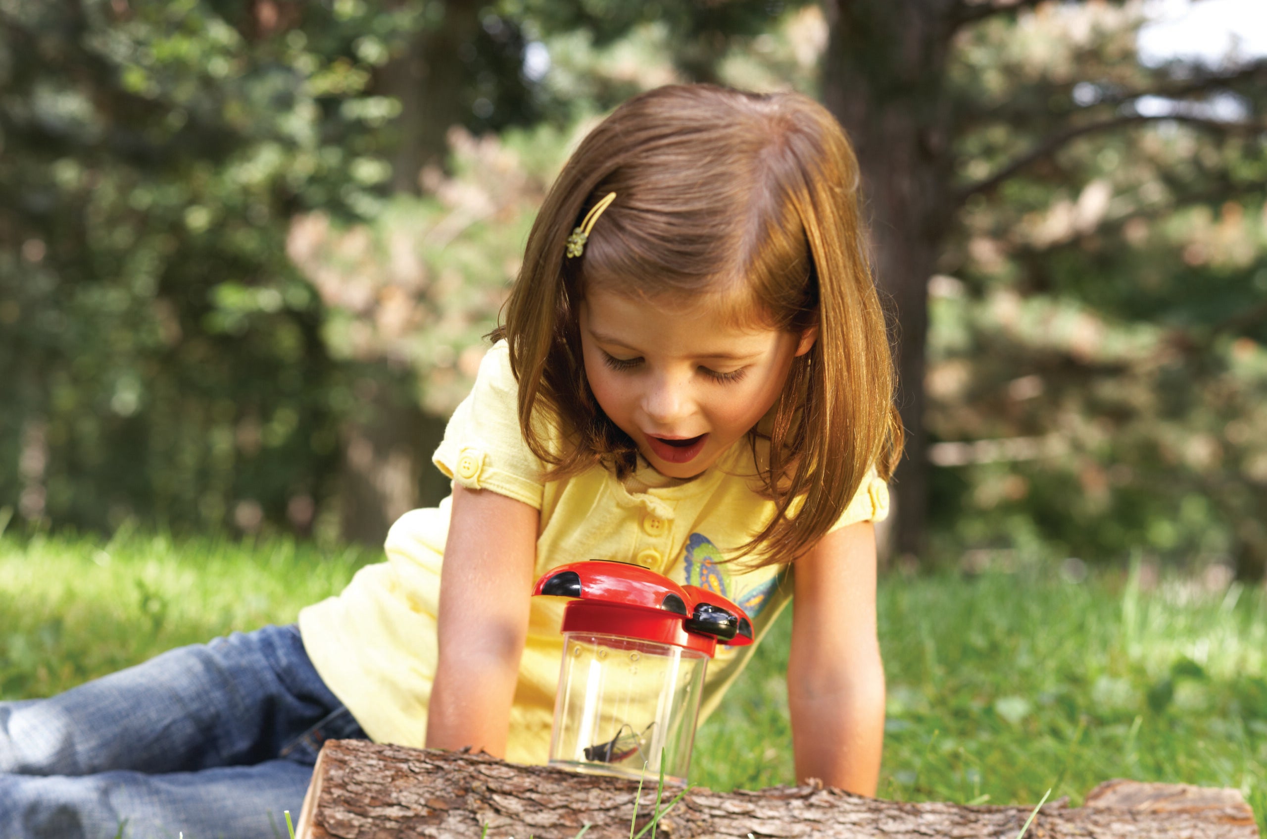 مجموعة من 12 برطمانًا لمراقبة الحشرات من Learning Resources، تتضمن أغطية مكبرة 3.5x وفتحات تهوية وأغطية لولبية، مثالية لاستكشاف العلوم والتكنولوجيا والهندسة والرياضيات في الهواء الطلق، للأعمار من 3 سنوات فما فوق