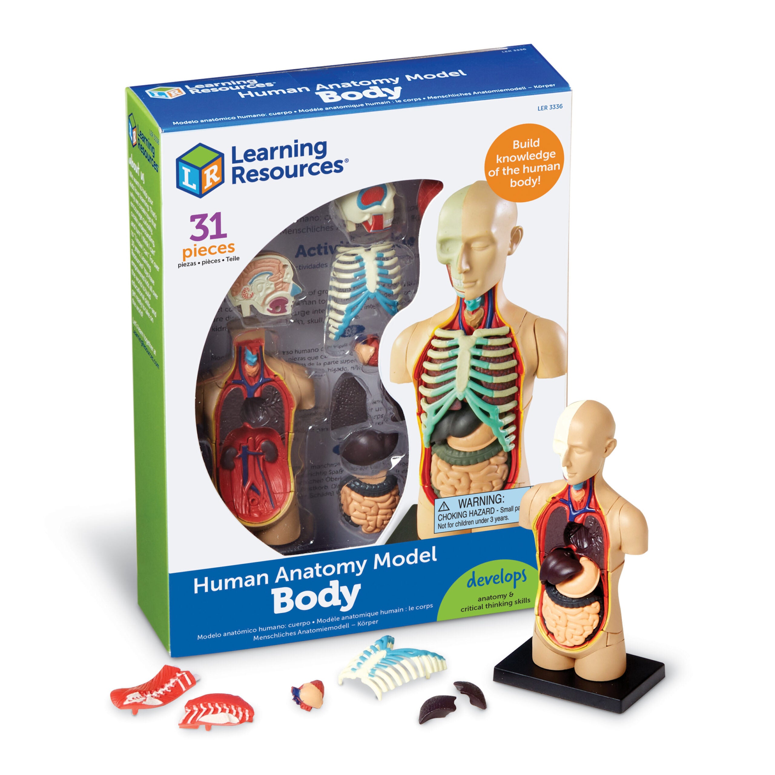 نموذج عرض تشريح جسم الإنسان من Learning Resources، نموذج مصغر مكون من 31 قطعة للأطفال لاستكشاف أجهزة الجسم وأعضائه، مثالي للأعمار من 8 سنوات فما فوق