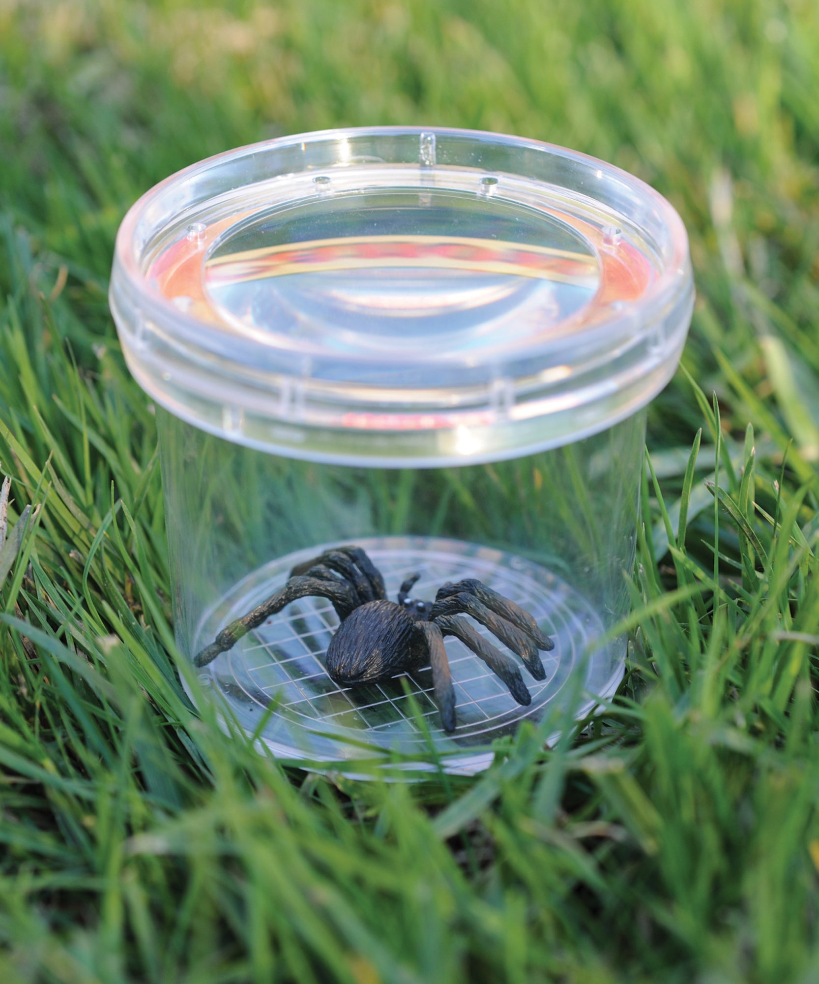 موارد التعلم GeoSafari Jr. Bug Viewer، وعاء مكبر للأطفال، تكبير 3 أضعاف، فتحات هوائية للعرض المباشر، قاعدة قياس شبكية، مثالي للاستكشاف في الهواء الطلق، للأعمار من 3 سنوات فما فوق