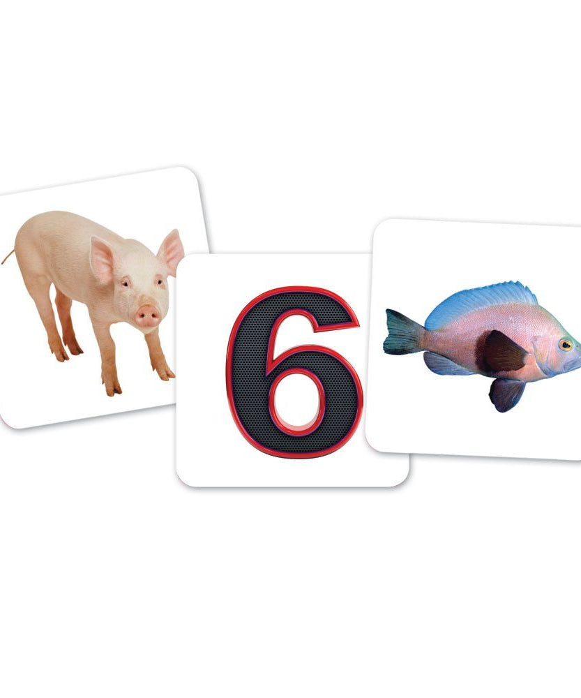 مجموعة فرز حروف العلة على شكل بومة من Learning Resources، نشاط تعليمي عملي للأطفال مع 100 بطاقة صور و6 حاويات بومة، تُعلّم أصوات حروف العلة القصيرة والطويلة، للأعمار من 5 سنوات فما فوق